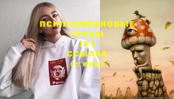 шишки Абаза