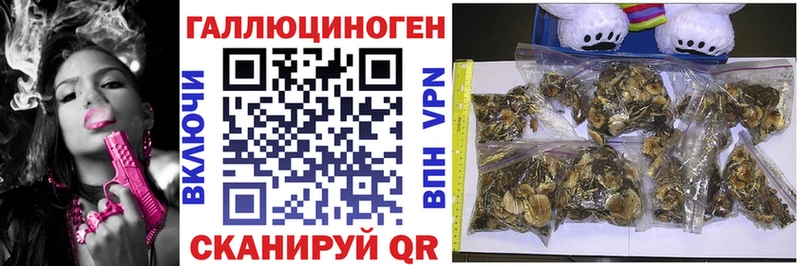 площадка официальный сайт  Волжский  Галлюциногенные грибы MAGIC MUSHROOMS 