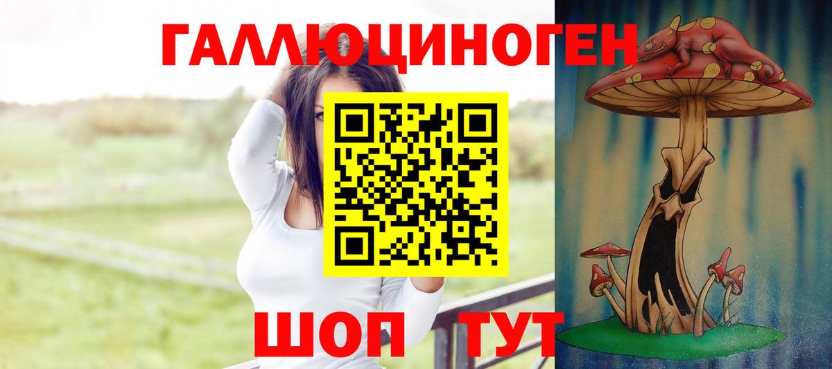 Псилоцибиновые грибы Cubensis Волжский
